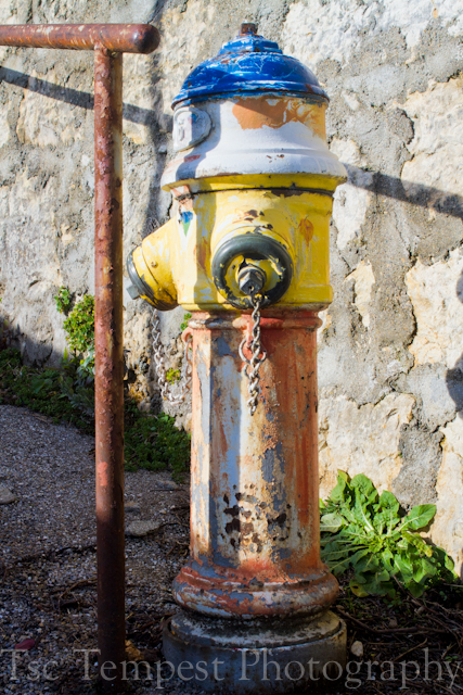 Locally decorated fire hydrant near some grape terraces. 